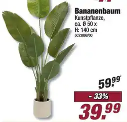 Poco Bananenbaum Angebot