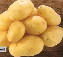 Handelshof Speisefrühkartoffeln Angebot