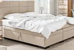 Trends Möbel Boxspringbett SANSIBAR POEL Angebot