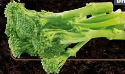 Handelshof Bimi Broccolini Angebot