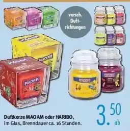 Trends Möbel Duftkerze MAOAM oder HARIBO Angebot