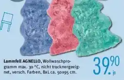 Trends Möbel Lammfell AGNELLO Angebot