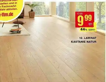 TTL Laminat Kastanie Natur Angebot