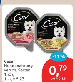 Budni Cesar hundenahrung Angebot
