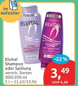 Budni Elvital shampoo Angebot