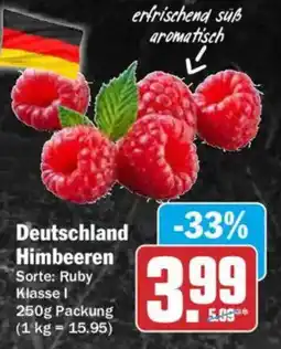 AEZ Deutschland Himbeeren Angebot