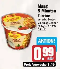 AEZ Maggi 5 Minuten Terrine Angebot