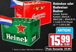 AEZ Heineken oder Budweiser Budvar Angebot