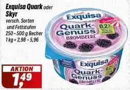 Simmel Exquisa Quark-Genuss Angebot