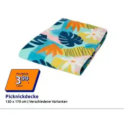 Action Picknickdecke Angebot