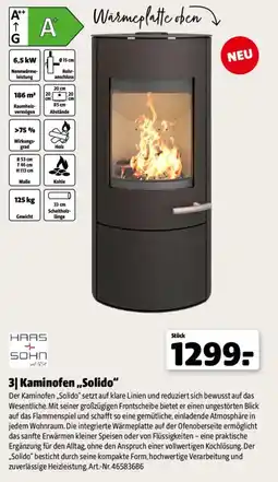 Hagebau Kaminofen „Solido“ Angebot