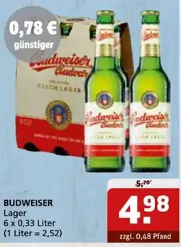 Getränke Quelle BUDWEISER Lager Angebot