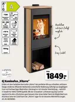 Hagebau Kaminofen „Vitore“ HAAS+SOHN Angebot