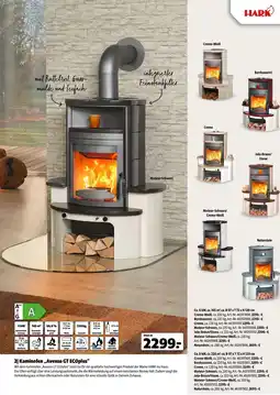 Hagebau Hark Kaminofen „Avenso GT ECOplus“ Angebot