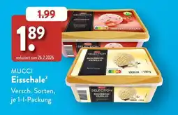 Aldi Süd MUCCI Eisschale Angebot