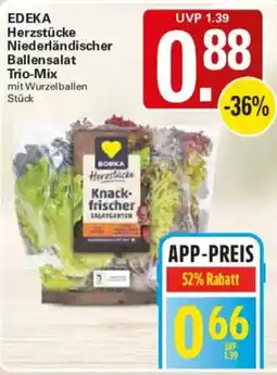 WEZ EDEKA Herzstücke Niederländischer Ballensalat Trio-Mix mit Wurzelballen Angebot