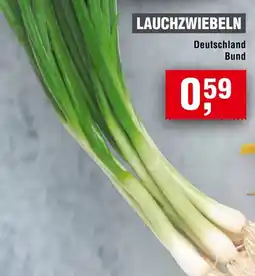 Handelshof Lauchzwiebeln Angebot
