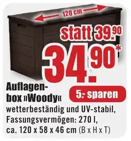 B1 Discount Baumarkt Auflagenbox »Woody« Angebot