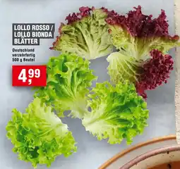 Handelshof Lollo Rosso / Lollo Bionda Blätter Angebot