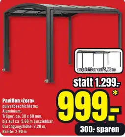 B1 Discount Baumarkt Pavillon »Zora« Angebot