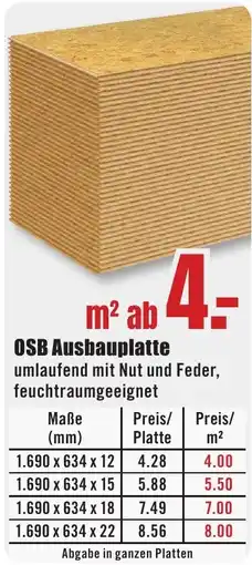 B1 Discount Baumarkt OSB Ausbauplatte Angebot