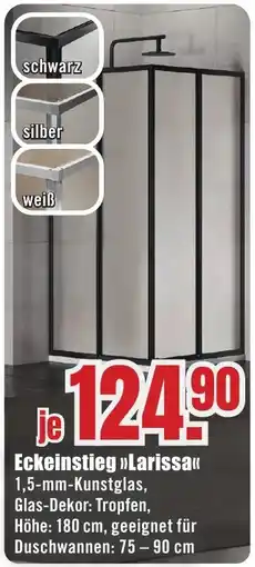 B1 Discount Baumarkt Eckeinstieg »Larissa« Angebot