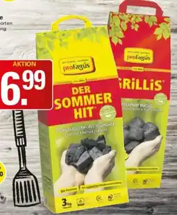 WEZ proFagus Grillis oder Holzkohle Angebot