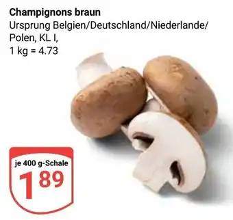 Globus Champignons braun Angebot