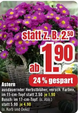 B1 Discount Baumarkt Astern Angebot