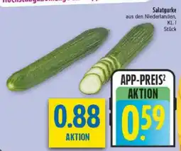 diska Salatgurke Angebot