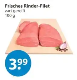 V Markt Frisches Rinder-Filet Angebot