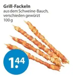 V Markt Grill-Fackeln Angebot