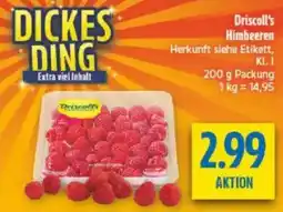 diska Driscoll's Himbeeren Angebot