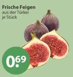 V Markt Frische Feigen Angebot