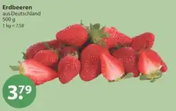 V Markt Erdbeeren Angebot