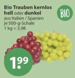 V Markt Bio Trauben kernlos Angebot