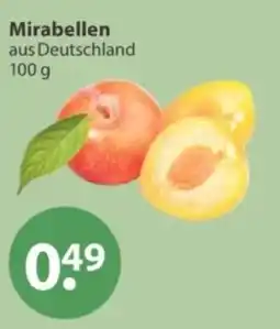 V Markt Mirabellen Angebot