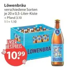 V Markt Löwenbräu Angebot