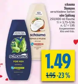 diska schauma Shampoo Angebot