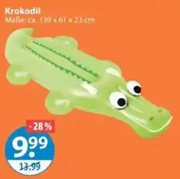 V Markt Krokodil Angebot