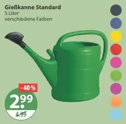 V Markt Gießkanne Standard Angebot