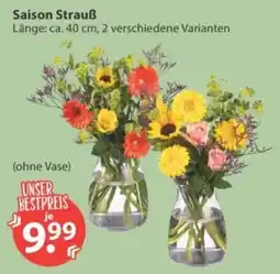 V Markt Saison Strauß Angebot