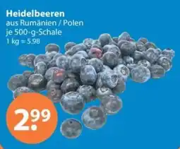 V Markt Heidelbeeren Angebot