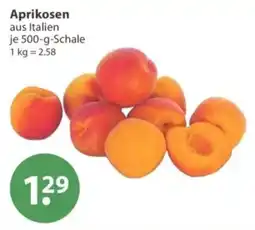 V Markt Aprikosen aus Italien Angebot