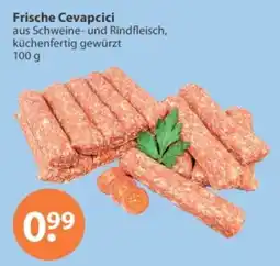 V Markt Frische Cevapcici Angebot