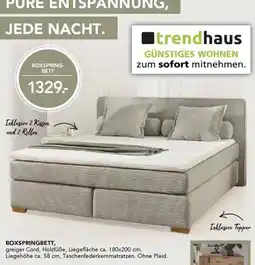 Möbel Steffens Boxspringbett Angebot