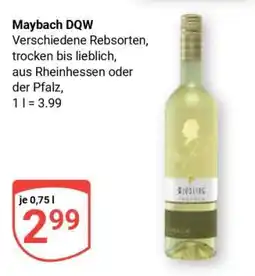 Globus Maybach DQW Angebot