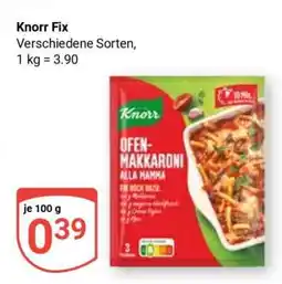 Globus Knorr Fix Angebot