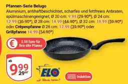 Globus Pfannen-Serie Belugo Angebot