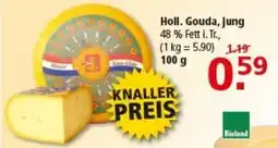 Multi Markt Holl. Gouda, Jung Angebot